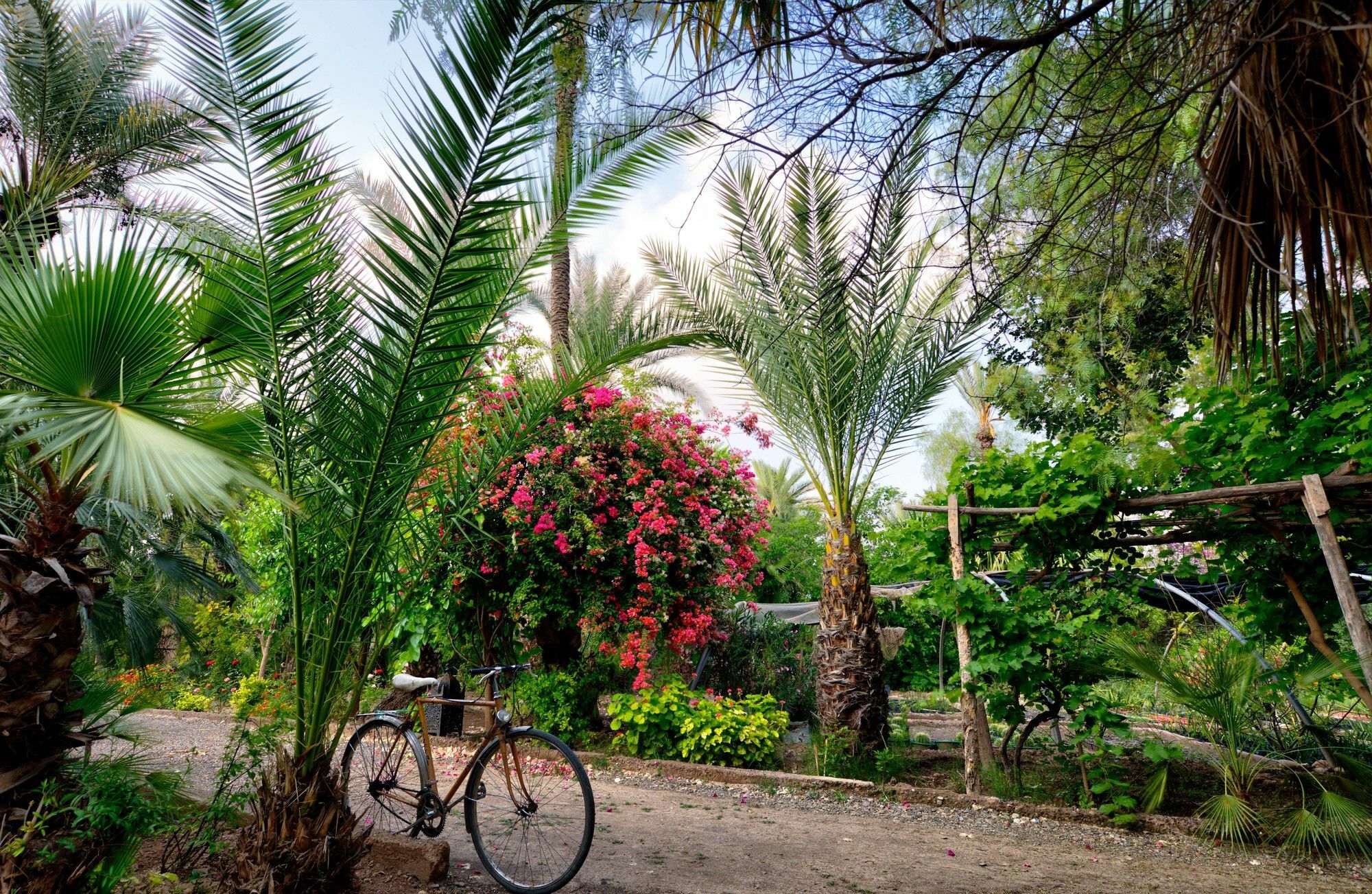 All Green House مراكش المظهر الخارجي الصورة