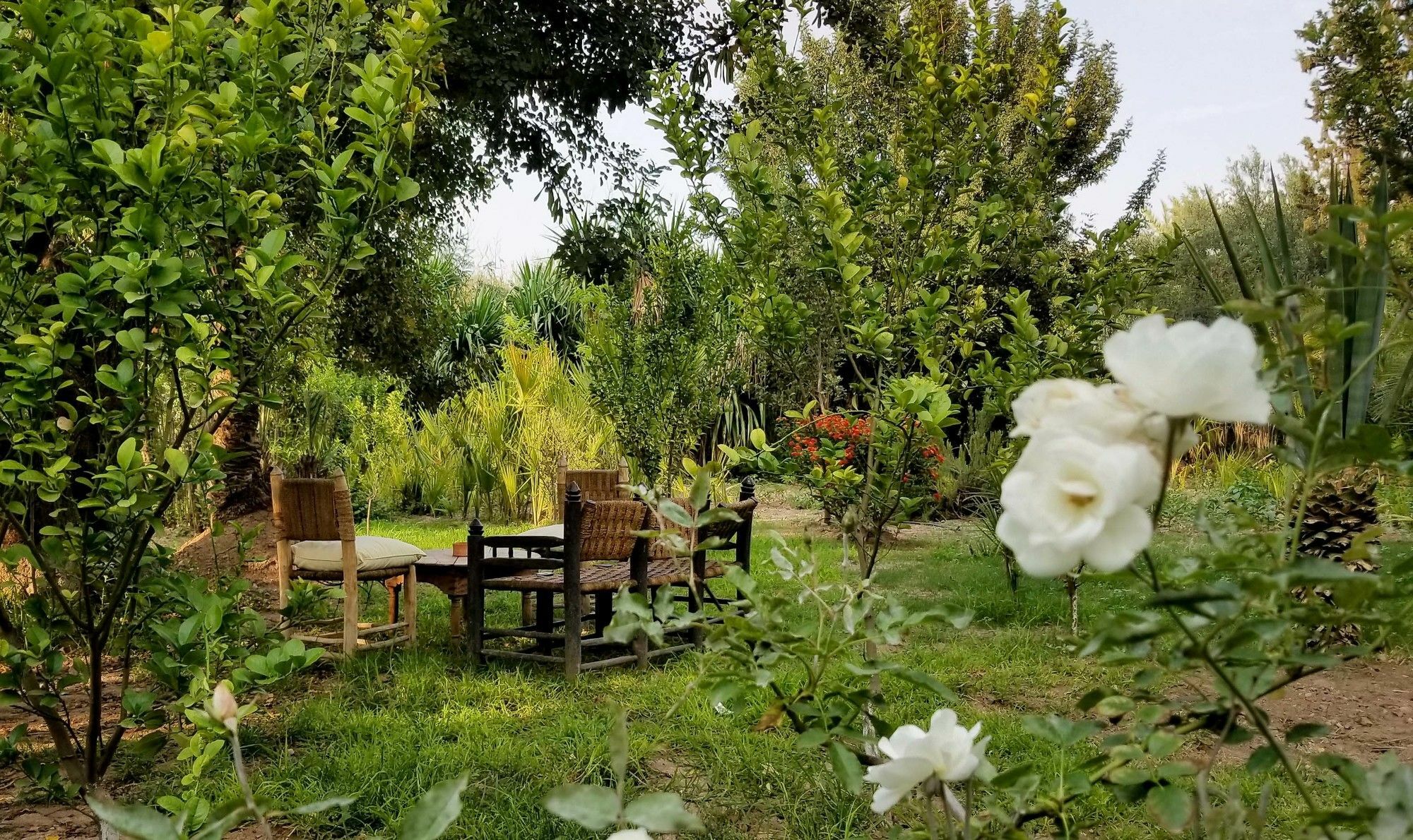 All Green House مراكش المظهر الخارجي الصورة