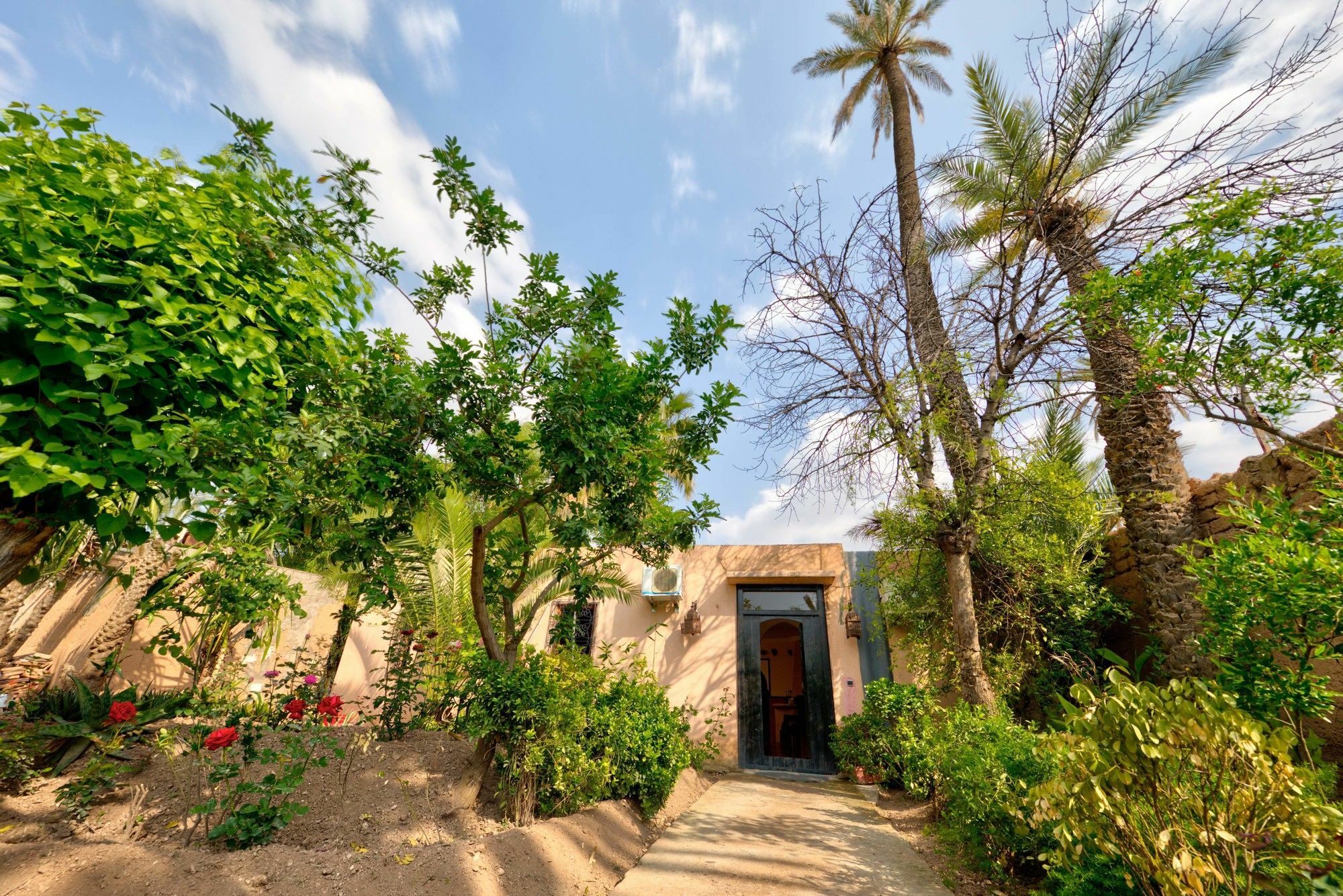 All Green House مراكش المظهر الخارجي الصورة